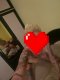 🔥Wild cat🔥✅You can also take advantage of the GFE service  - Снимка 4