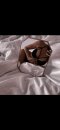 I'm new 💞💓💕 - Снимка 1