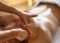     Trans lady offers a relaxing massage in a relaxed atmosphere - Снимка 3