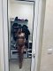 😈ESCORT 😈 - Снимка 3