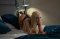 ✅TOP ESCORT SERVICE✅ 1h 200€ - Снимка 0