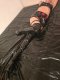 Emma's dominatrix and many other fetishes - Снимка 5