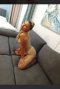 💋 "I'm looking for passionate and discreet encounters" - Снимка 3