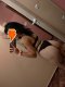 Your sweet anal temptation is free 😘 - Снимка 7