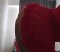 I'm almost here to have some fun 😍😍😍🥰🥰🥰🥰 - Снимка 9