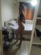 🥰🥰🥰🥰😋😋😋 - Снимка 19