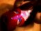 best blowjob 69 cum in my mouth - Снимка 0