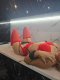 🔞New cut in the city🔞👅🫦 - Снимка 1