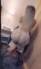Massage, strap-on !!! Everything you need  - Снимка 2