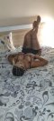 TOP ESCORT 💦🤌GFE - Снимка 2