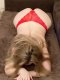 🌸Chrissy is back with you 💯% real🌸 - Снимка 4