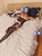 Passive SISSY perverted slave who will satisfy you sexually  - Снимка 11