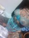 Alexandra sex online show squirting hard - Снимка 7