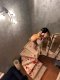 Тук съм за кратко сладури💦 - Снимка 7