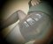I like to be fucked  - Снимка 1