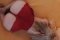 Annie is new to you 💯% real and naughty‼️ - Снимка 1