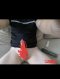 I am looking for a queen of French. - Снимка 0