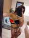 30 min 50 evro $ Sexy Girl ! 🔞 Call me 🍓 Real 🇧🇬 - Снимка 1
