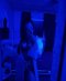 hour 🖤💥New black barbie 💥🖤 I also visit addresses - Снимка 6