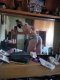 Trans Porn - Снимка 0