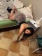 Full program 150€ today only  - Снимка 0