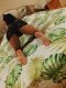 Rumi Escort❤️‍🔥😉❤️‍🔥 - Снимка 5