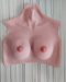 Silicone bust, breasts, boobs, for women, men, transgender - Снимка 0