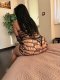 Escort service • Discretion and comfort full program 70e - Снимка 5