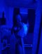 I'm waiting for you! Come and take advantage  - Снимка 12