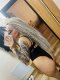 Новото Искушение Тук💋100% Реална🔞🥰  ..💋  - Снимка 1
