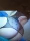 Try my wet pussy - Снимка 1