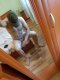 Bobby_69 - Снимка 0