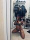 😈ESCORT 😈 - Снимка 0