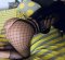 🫦Top 🫦Top 🫦Escort 🫦 100% REAL - Снимка 1