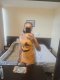 Only at your address or hotel - Снимка 2