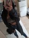 Сладката за изкушение 💋🥰 - Снимка 20