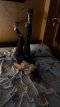 Exotic naughty young lady - Снимка 1