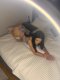 SEX VIDEO CHAT PAY AND BE SATISFIED - Снимка 8