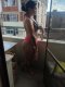 Ани отново е тук при вас !!!!🥵🥵🥵 - Снимка 2