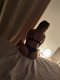 Are you looking for something real and discreet? Come have some  - Снимка 5