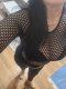 New♡Real clips, photos and on camera I also have a site for clip - Снимка 2