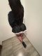 🔝princess🔝🔞 - Снимка 2