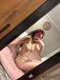 🔥 Natural sex appeal and impeccable manners - Снимка 1