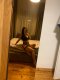 •°•♡ New Sexy Escort - Снимка 0