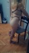 I am looking for a colleague. - Снимка 0