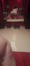 Sexy Chubby Babe - Снимка 9