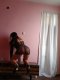 TIGHT Lady! 10000% real!  - Снимка 9