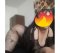 Bulgarian woman with real photos - Снимка 1
