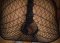 I fuck ass on Promotion-50 lv for mutual blowjobs - Снимка 0