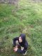 Vaginal Massage Fisting Don't Be Shy  - Снимка 15